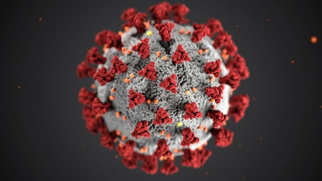 Image colorisée du virus de la COVID-19
