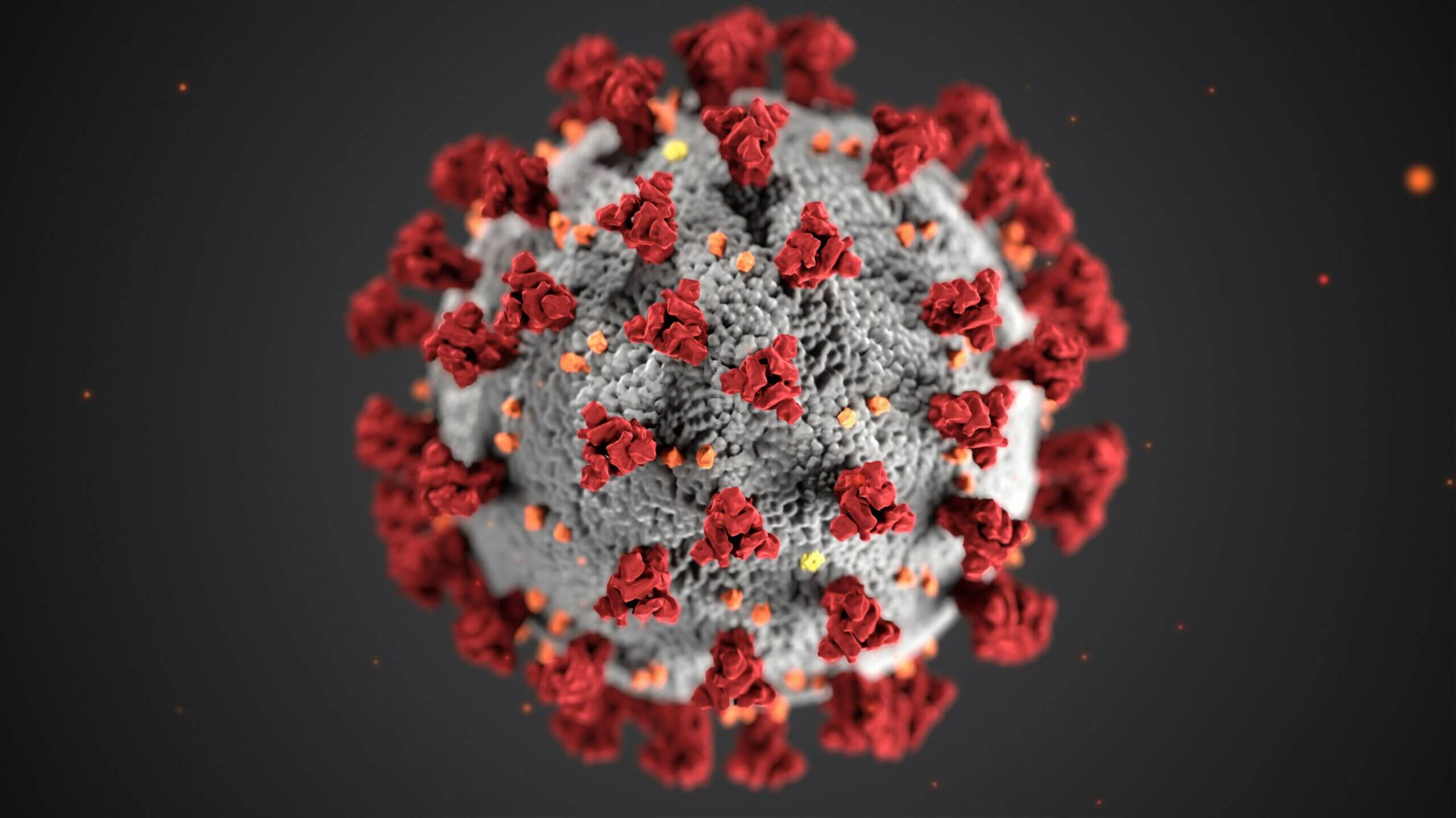 Image colorisée du virus de la COVID-19